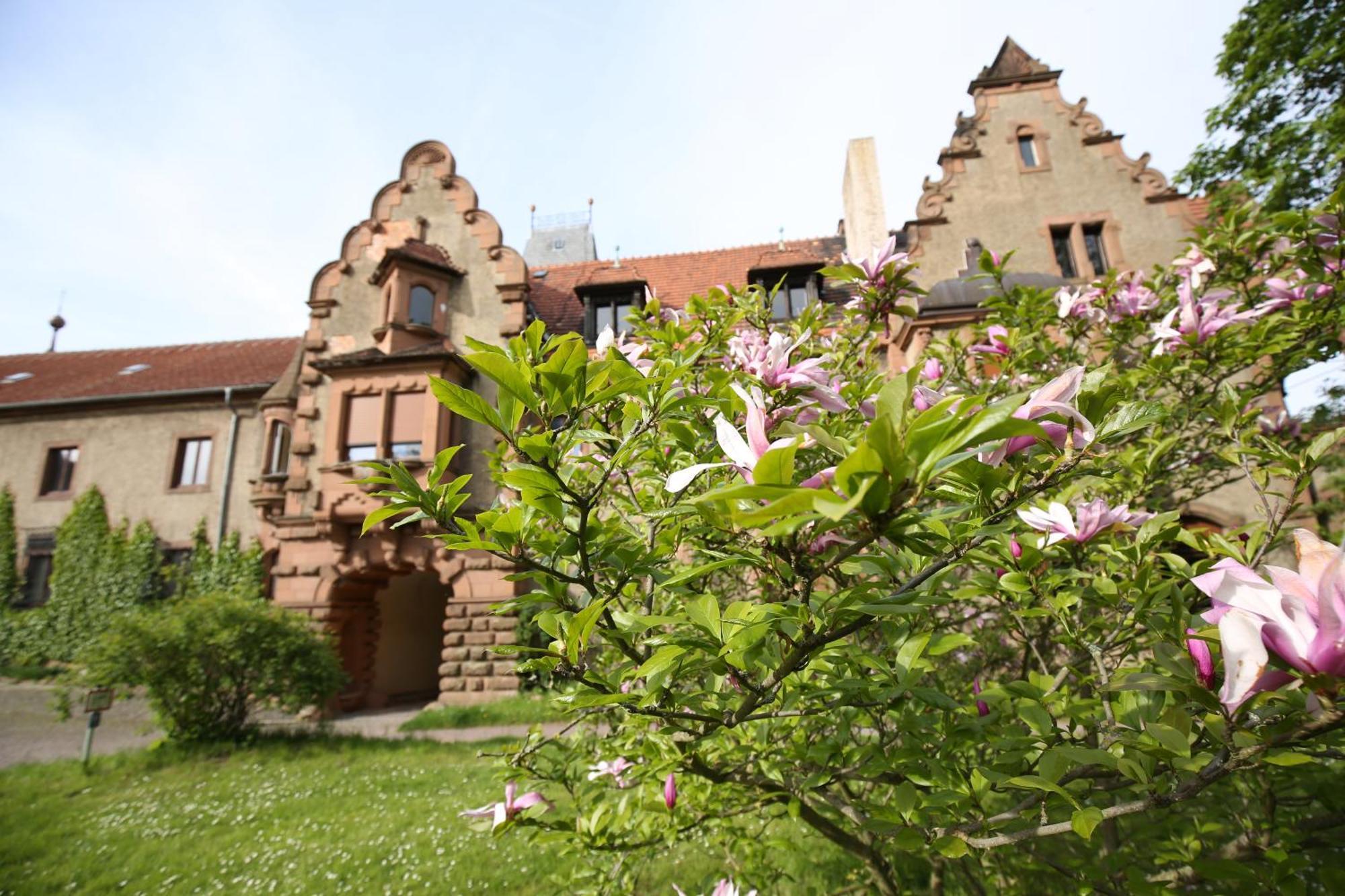 Veltheimsburg Hotell Bebertal Eksteriør bilde